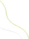 curve line decoration